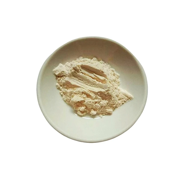 Cas 9000-69-5 Food Grade LM HM Pectin factory